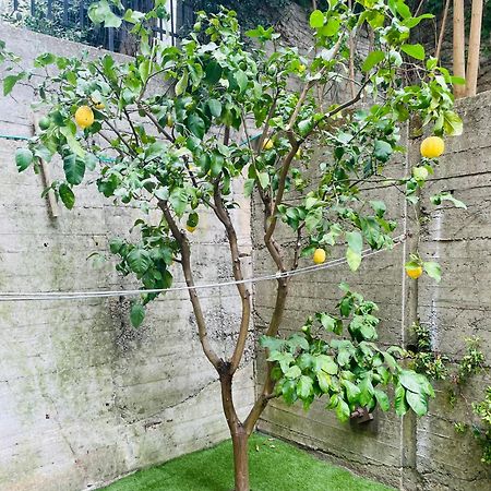 Lemon Tree Resort - Freeparking - Garden Genoa Luaran gambar